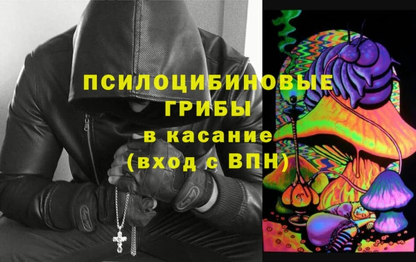 крисы Алексин
