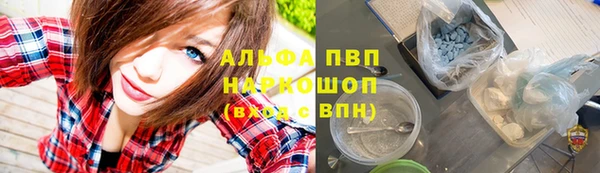 крисы Алексин