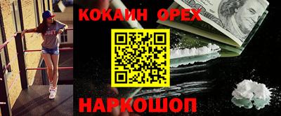 индика Новозыбков