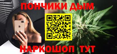 индика Новозыбков