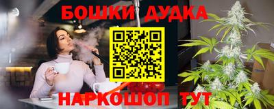 индика Новозыбков