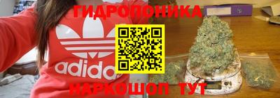 apvp Новодвинск