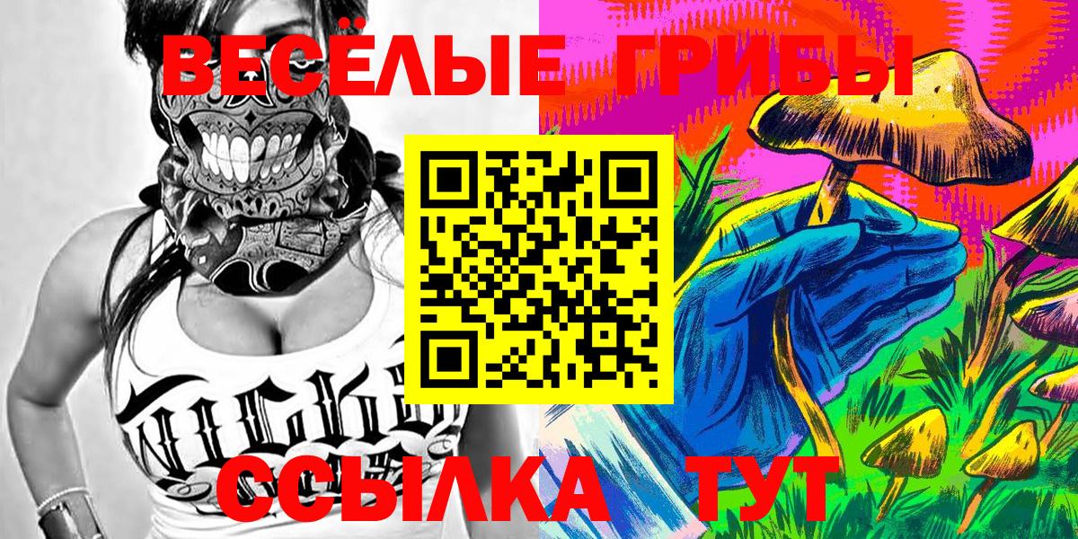 Псилоцибиновые грибы Magic Shrooms  Псилоцибиновые грибы GOLDEN TEACHER  Советская Гавань  где найти   Вход с VPN 