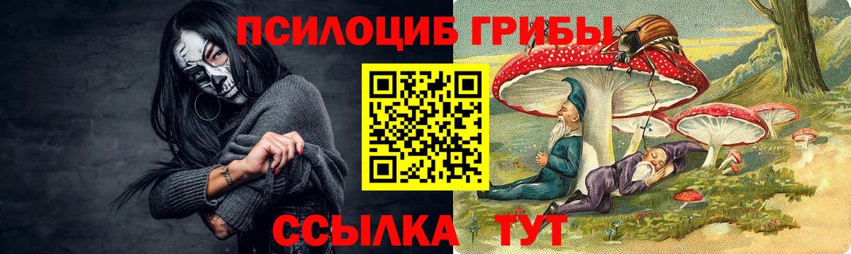 Псилоцибиновые грибы Cubensis Советская Гавань